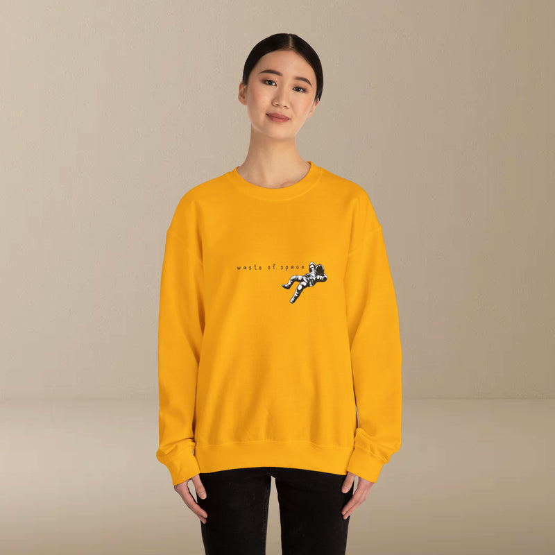 waste of space sweatshirt