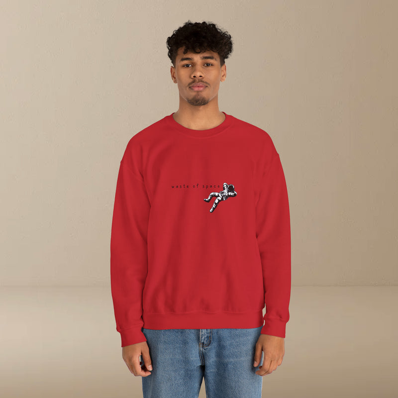 waste of space sweatshirt