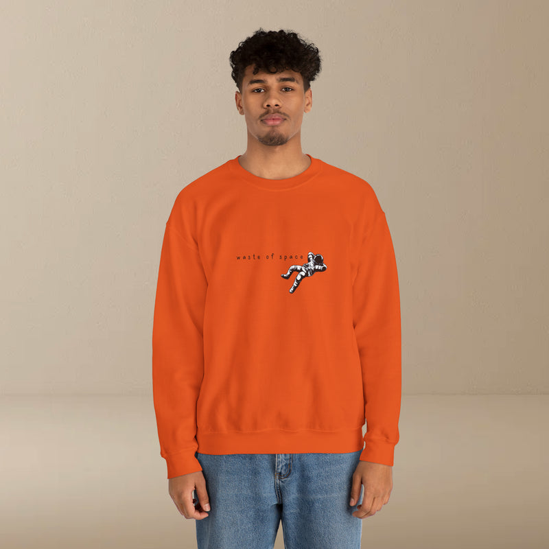 waste of space sweatshirt