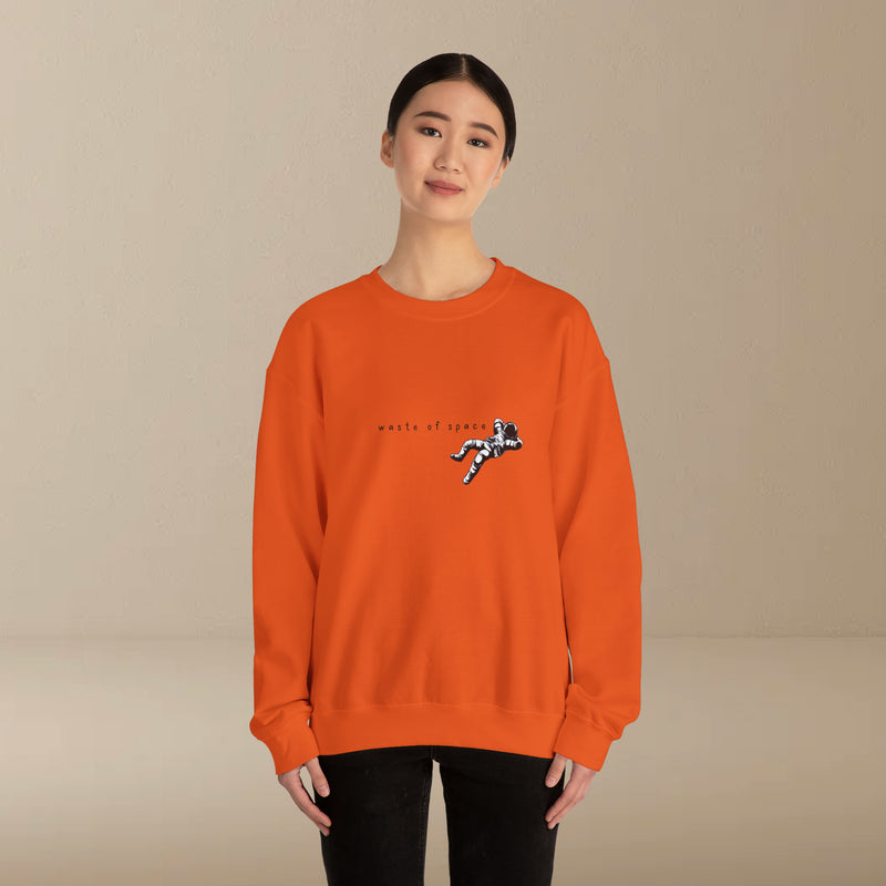 waste of space sweatshirt