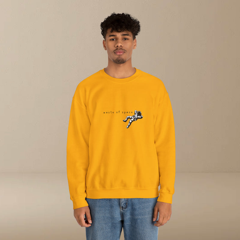 waste of space sweatshirt