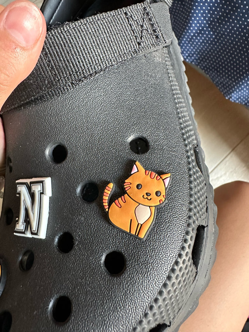 cat croc jiblets